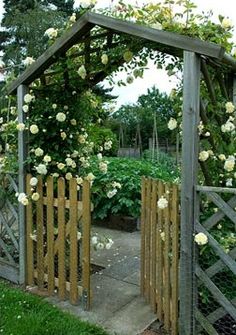 an open gate with white roses growing on the top and bottom, leading into a garden