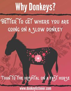 a horse with flowers on its back and the words, why donkeys? better to get where you are going on a slow donkey