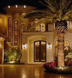 a palm tree in front of a large house with lights on it's windows