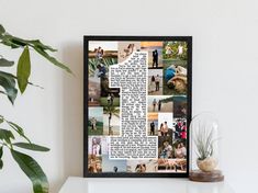 a collage of photos is displayed on a shelf next to a potted plant