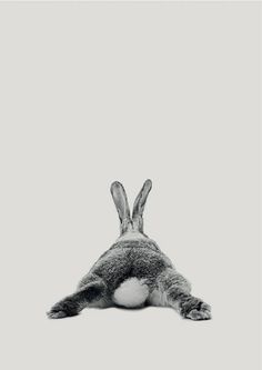 a black and white photo of a rabbit's head with it's eyes closed