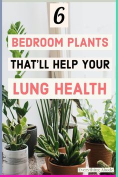 some house plants with the text 6 bedroom plants that'll help your lung health