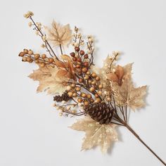 an arrangement of dried leaves and acorns on a white surface