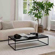 a living room with a couch, coffee table and potted plant