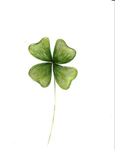 a drawing of a four leaf clover