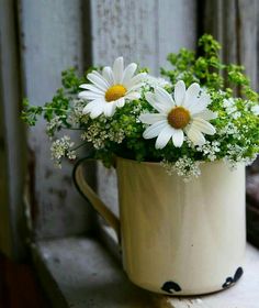 a coffee cup filled with daisies on top of a table