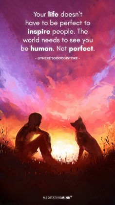 two dogs sitting in front of a sunset with a quote from the book, your life doesn't have to be perfect to inspire people