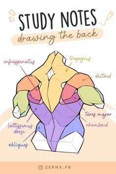 an origami figure with the words study notes drawing the back in different colors