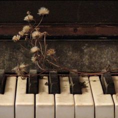 an old piano with weeds growing out of it's top and the keys missing