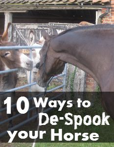 two horses standing next to each other near a fence with the words 10 ways to de - spook your horse