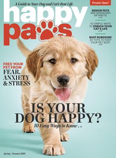 a dog on the cover of happy paws magazine