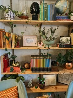 the bookshelves are filled with plants and other decorative items, including an earth globe