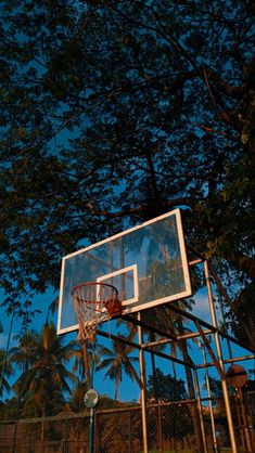 a basketball hoop is in front of a tree