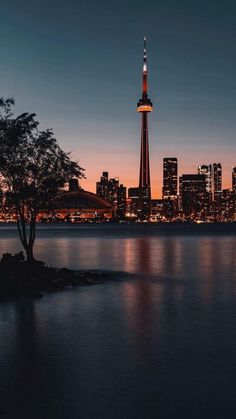 the city skyline is lit up at night with lights reflecting in the water and trees