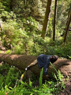 a man is standing on a fallen tree in the woods with his hands over it