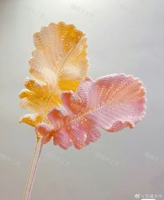 a pink and yellow flower with water droplets on it's petals in front of the sun