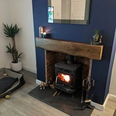 a wood burning stove sitting inside of a living room next to a mirror and potted plant