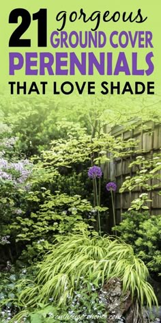 the cover of 21 gorgeous ground cover perennials that love shade