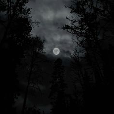 the moon is shining through the dark clouds in the sky above some tree branches and trees