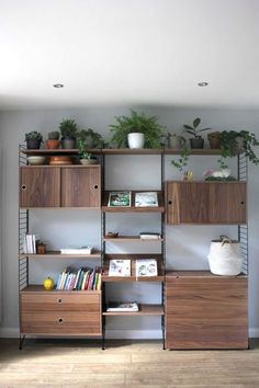 the shelves are filled with plants and books