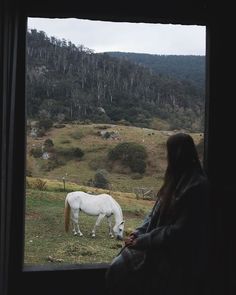 a white horse standing next to a person looking out a window at the grass and trees