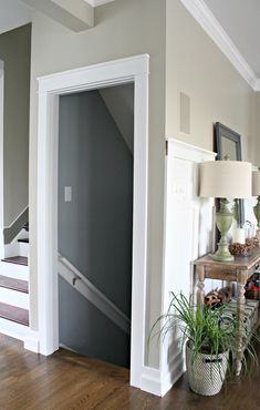 an open door leading to a living room with stairs and potted plants on the table