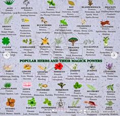 a poster with many different herbs and their magic powers on it's back side