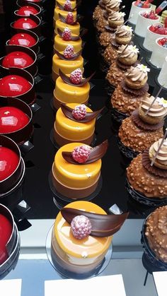 there are many desserts lined up on the table together in this case, including cupcakes with chocolate frosting and raspberries