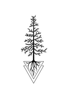 a black and white drawing of a tree with roots in the shape of a triangle