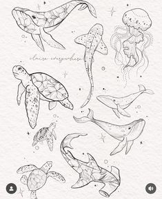 an image of sea animals in black and white with stars on the bottom right hand corner