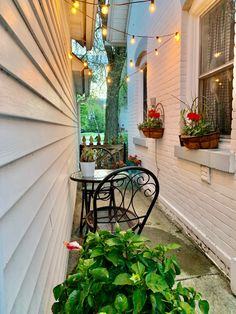 an outdoor patio with plants and lights strung from the side of the house on either side of the porch