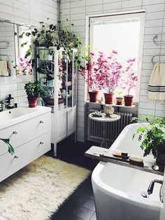 a bath room with a tub a sink and some plants