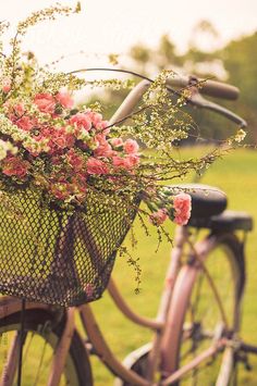 a bicycle with a basket full of flowers on the front and back wheel, parked in a field