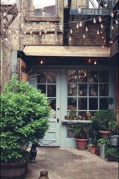 the front door of a building with potted plants and lights strung from it's windows