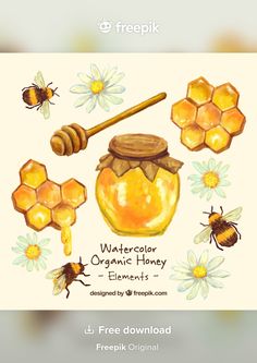 watercolor drawing of honey and bees on white paper with text that reads, watercolor organic honey elements