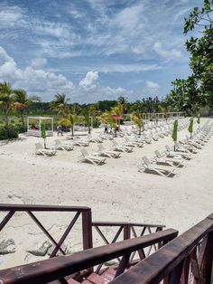 many lounge chairs are set up on the beach