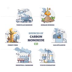 the four main types of carbon monodies