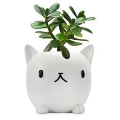 a white cat planter with a green leafy top