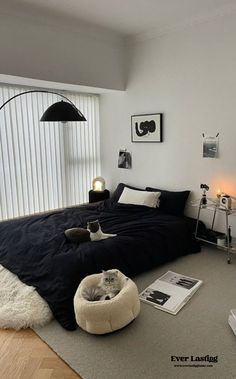 a bedroom with a cat bed in the middle