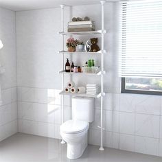 a white toilet sitting in a bathroom next to a shelf filled with bottles and soaps