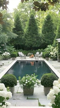 a pool surrounded by white flowers and greenery