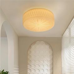 a bathroom with a round light fixture above the bathtub and toilet area, along with a plant