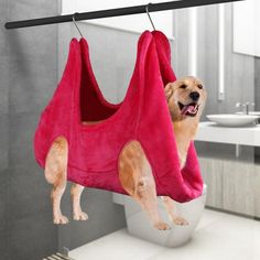 a dog hanging from a towel in a bathroom