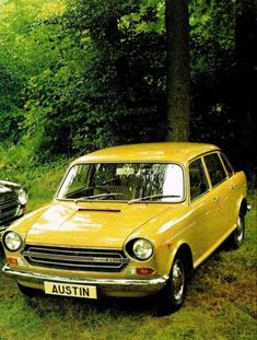 two old cars are parked next to each other in the grass near trees and bushes