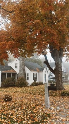 a white house sitting next to a tree with lots of leaves on the ground in front of it