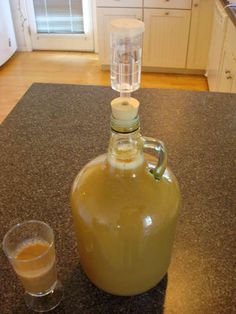 Homemade hard apple cider. If you can't get your hands on yeast or equipment, the easy way is to just leave the fresh cider in a pantry, lightly covered, and let it gather yeast from the air and from the apple skins. Then add it to some sourdough bread! Diy Cider, Hard Cider Recipe, Making Hard Cider, Mead Recipe, Hard Apple Cider, Homebrew Recipes, Cider Making