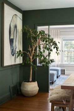 a bonsai tree in a large pot on a wooden table next to a window