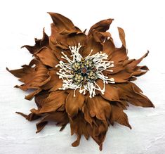 a large brown flower with white and gold details on it's center piece, sitting on a white surface