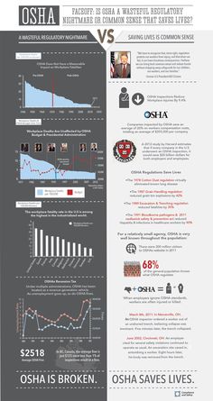 an info sheet with different types of information