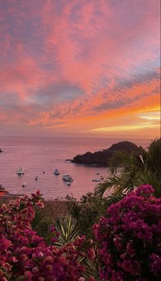 the sun is setting over an ocean with boats in the water and flowers growing on the shore